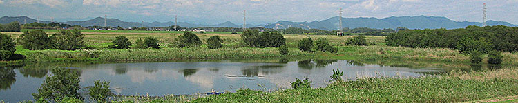 nǐVn
