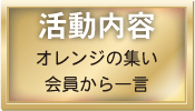 活動内容